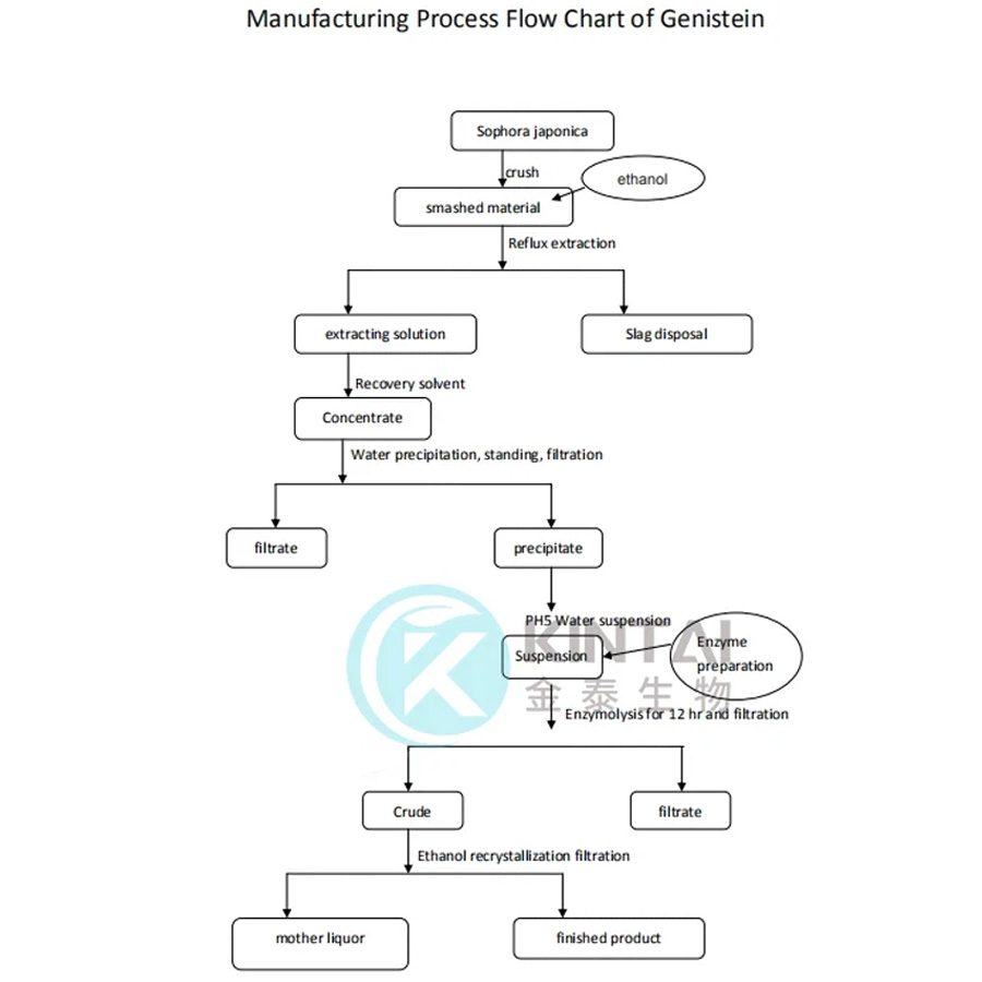 Kintai Genistein Production Process