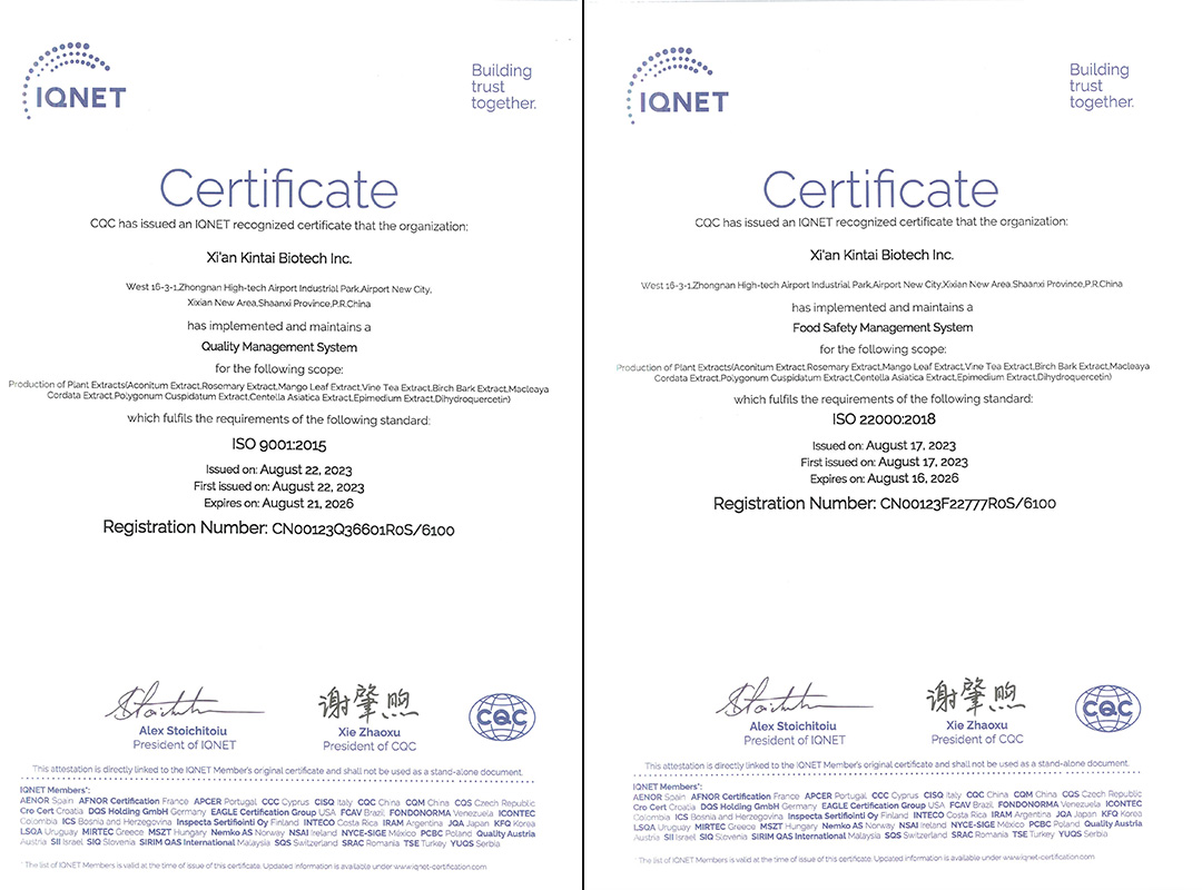 Kintai ISO 9001 from IQNET(1)(1)