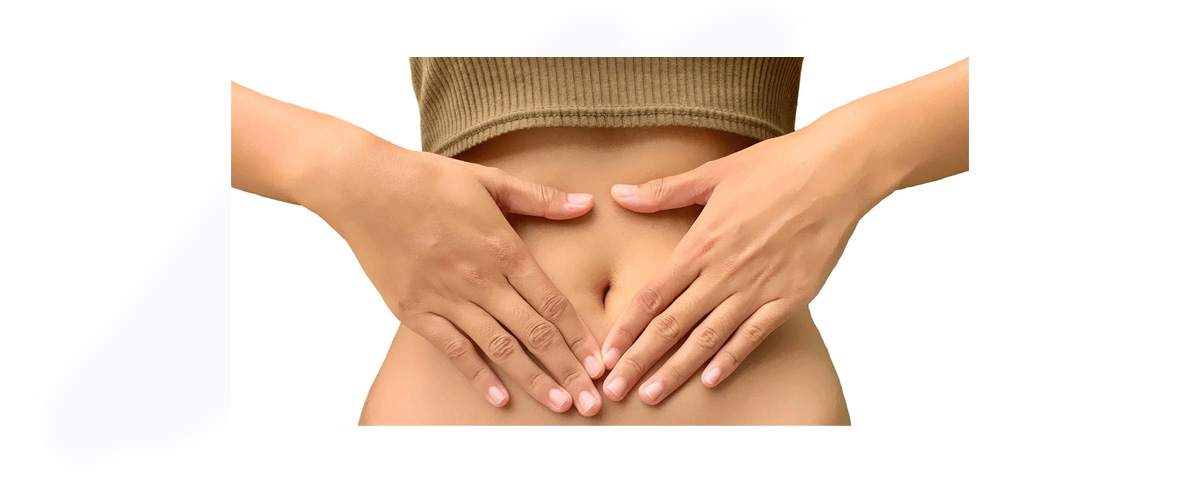 Lignans promote gut health, regulate the balance of intestinal microbiota, relieve constipation, and prevent intestinal diseases