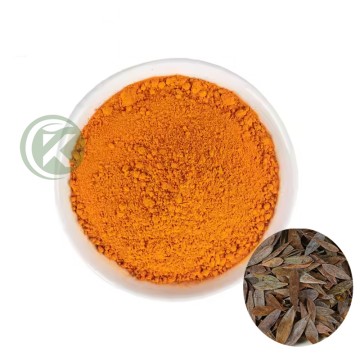 Extrait de Macleaya Cordata