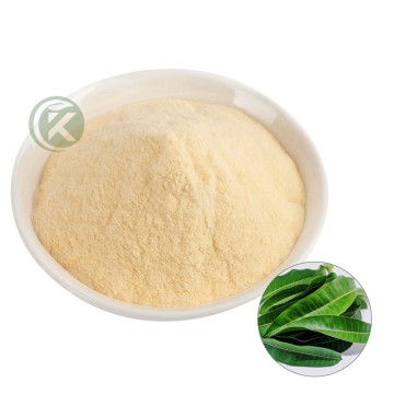 Water-Soluble Mangiferin Extract Powder – Buy Mangiferin