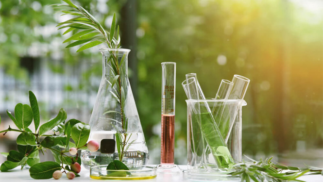 Natural Extract Skin Care