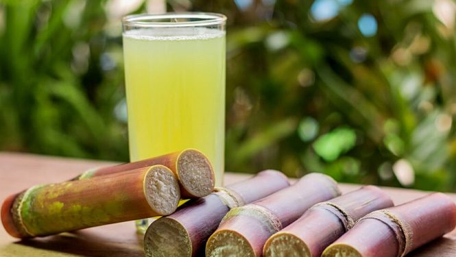 Octacosanol is extracted from sugarcane, and we can consume it by eating sugarcane.jpg