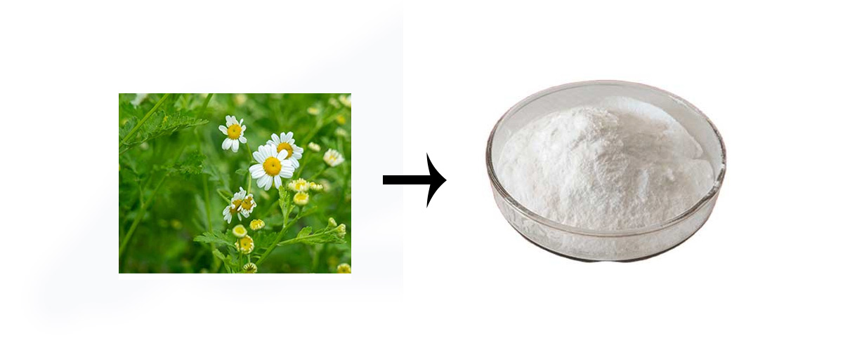 parthenolide powder
