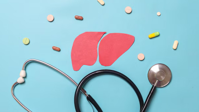 Phosphatidylserine Promotes liver and lung function health.jpg