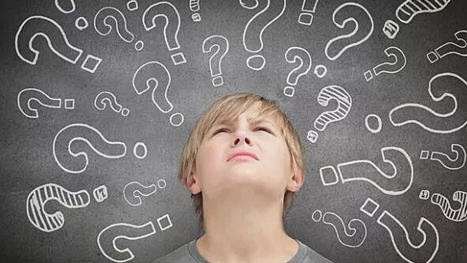 Phosphatidylserine vs Phosphatidylcholine, What’s the Difference?