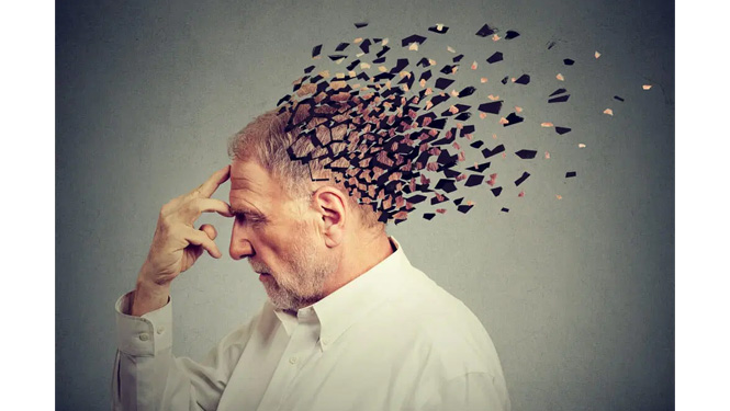 Spermidine trihydrochloride reduces Alzheimer's risk