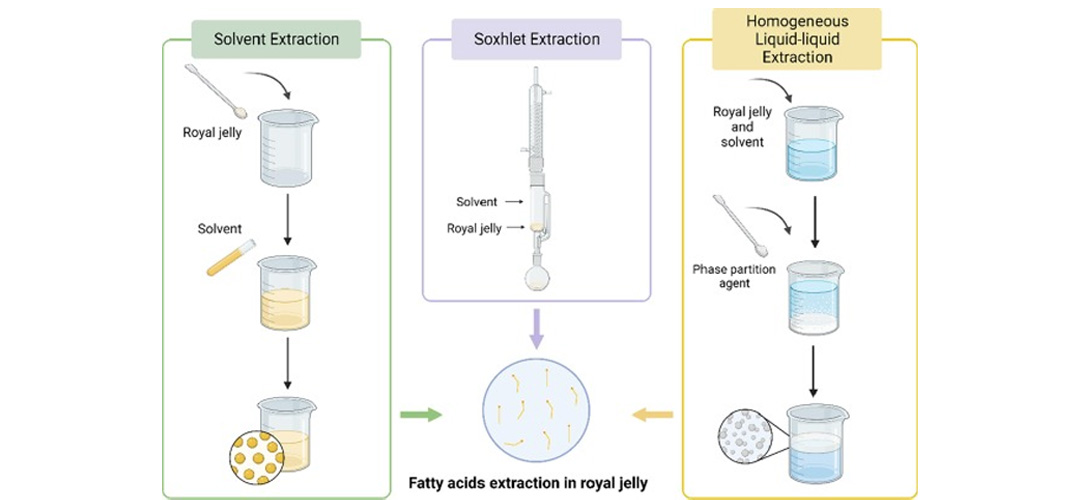rolay jelly acid production process