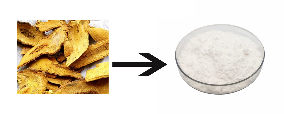 Polygonum Cuspidatum Extract Polydatin 