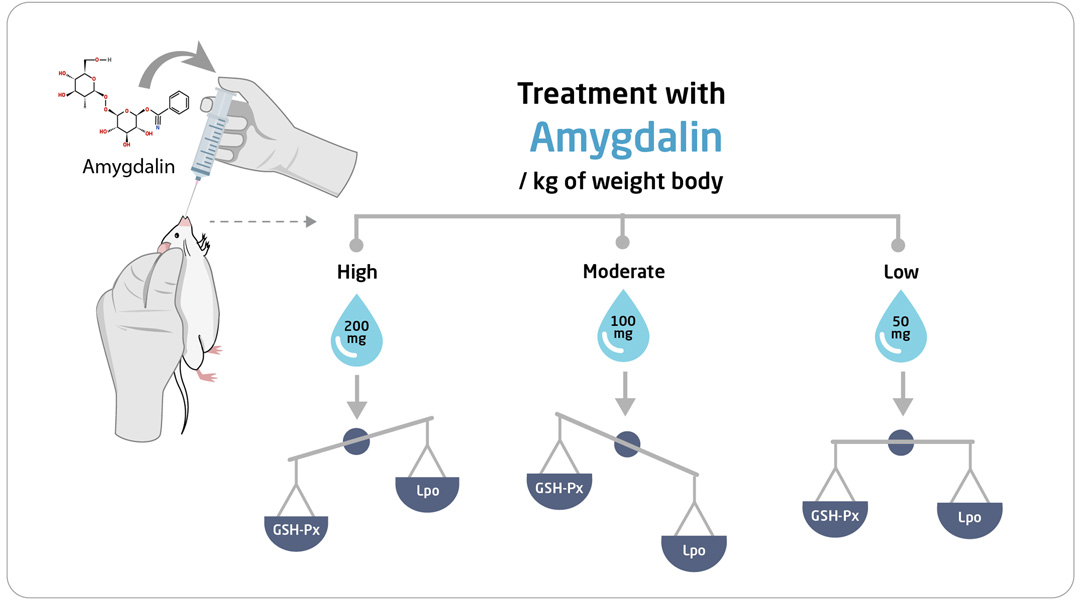 treatment with amygdalin