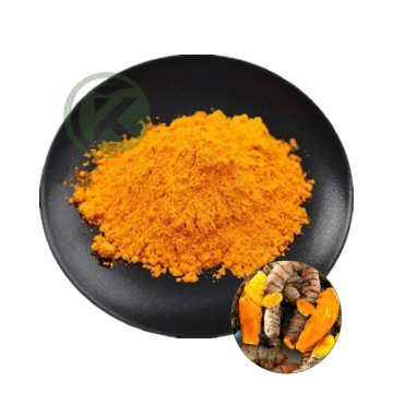 Turmeric 95% Curcumin Extract