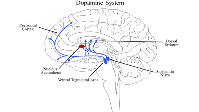 ADHD BLOG 2