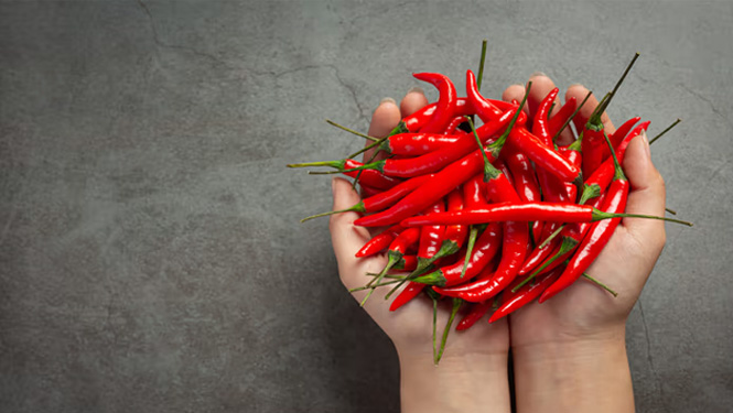 An allergy to capsaicin is extremely rare