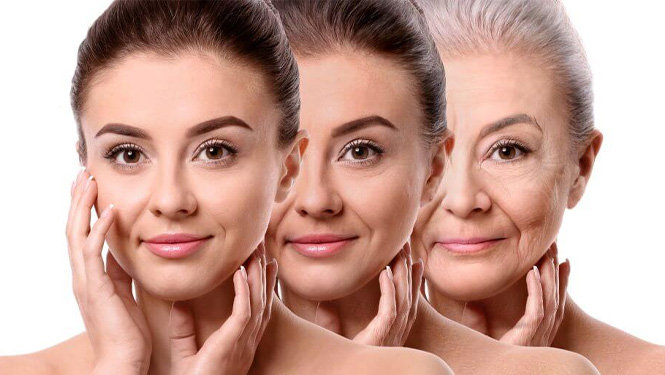 anti-aging skincare Carnosic Acid