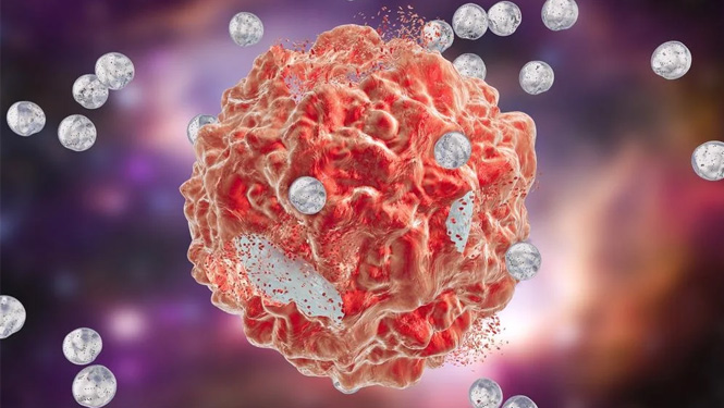 What Are the Benefits of Stigmasterol?