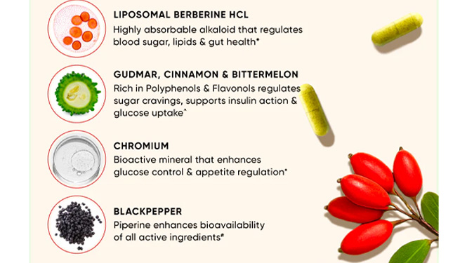 berberine HCL absorption