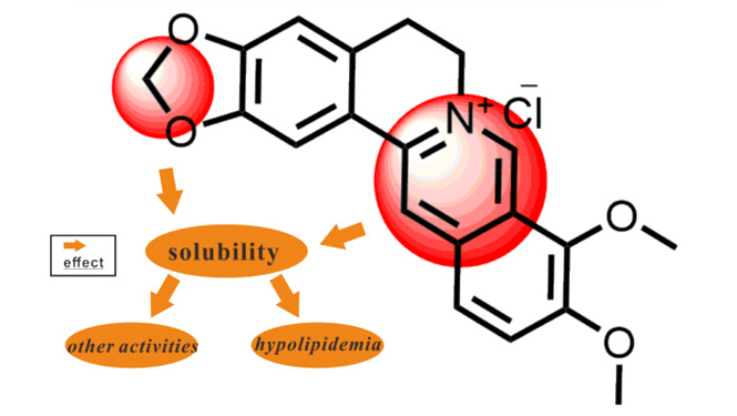 Berberine hydrochloride solubility