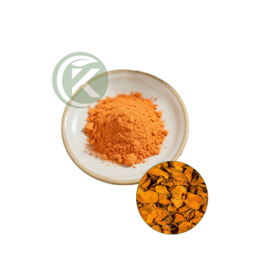 Best Turmeric Powder | Curcuma Longa Root Extract Factory Direct 