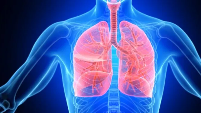 blog 1 spermidine