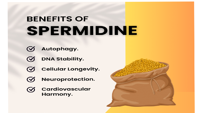 blog 1 What benefits
