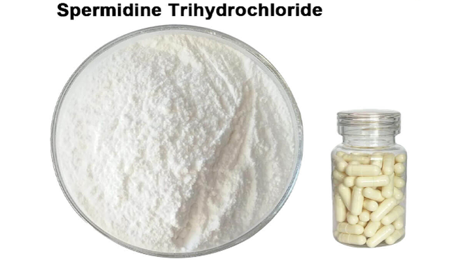 blog 2 Spermidine Trihydrochloride