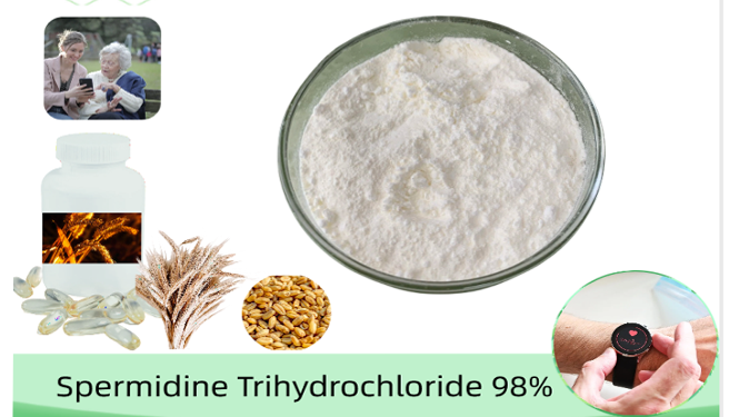 blog 3 Spermidine Trihydrochloride