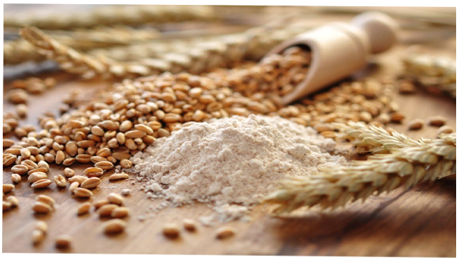 What is spermidine?