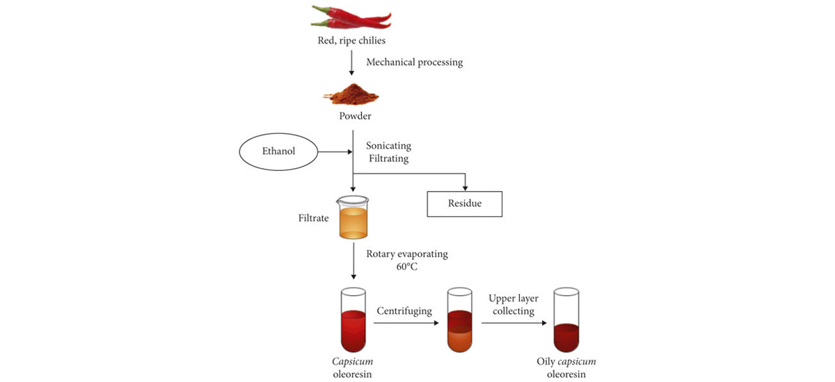 Capsaicin Powder Production Process 2