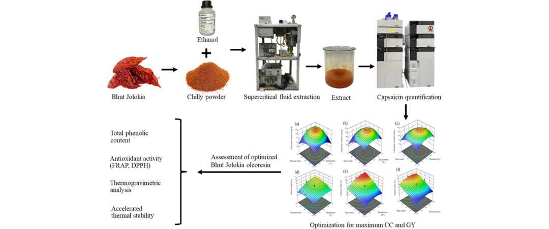 Capsaicin Powder Production Process