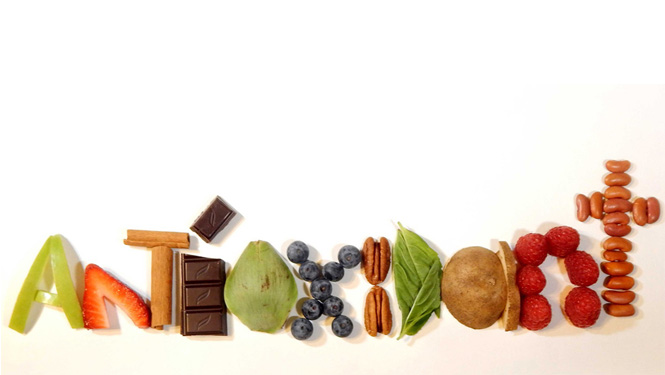 Carnosic Acid antioxidant