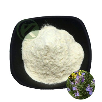 Carnosic Acid Powder