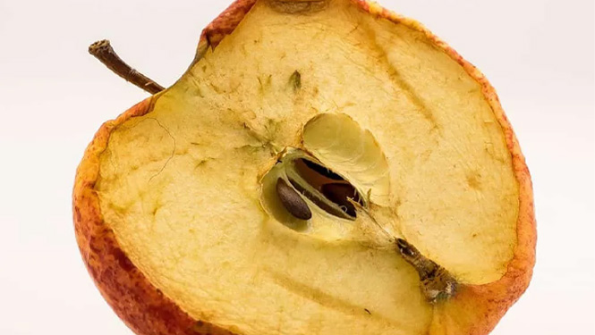 Carnosic Acid prevent oxidation of food