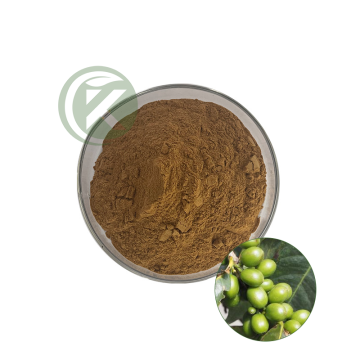Green Coffee Bean Extract 50% Chlorogenic Acid