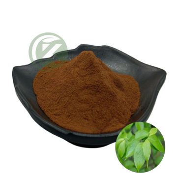 Chlorogenic Acid Powder 98% Bulk  High Purity Eucommia Ulmides Extract