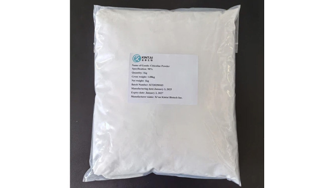 Citicoline powder