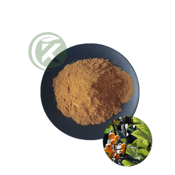 Corosolic Acid Powder