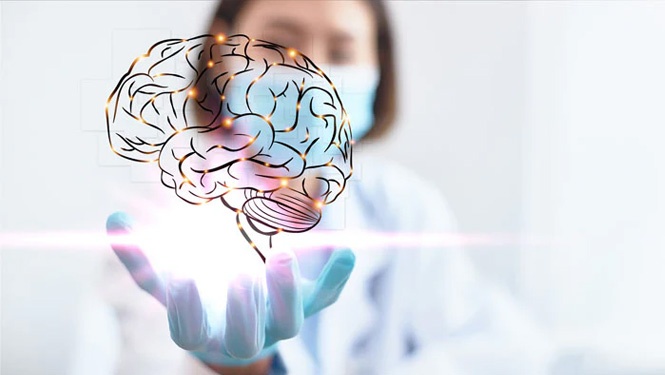 esculetin protect brain cells from oxidative stress
