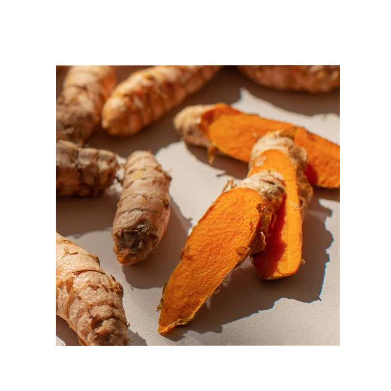 High Quality Turmeric Powder | Bulk Supply | Competitive Price