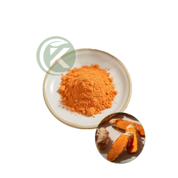 High Quality Turmeric Powder | Bulk Supply | Competitive Price