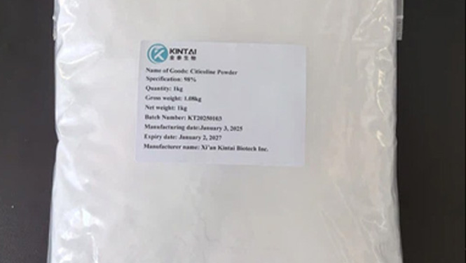 kintai Citicoline powder