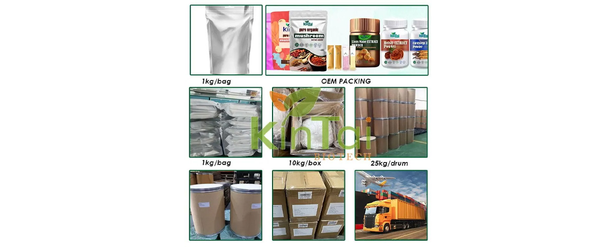 Kintainutri® Logistics and Packaging