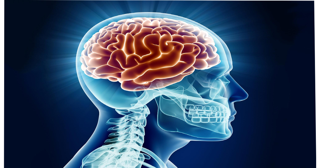 l-Dopa benefits