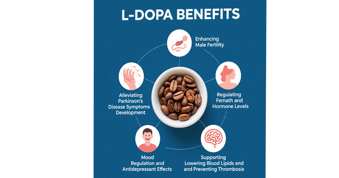 Mucuna pruriens Benefits