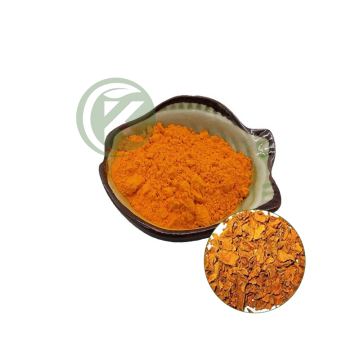 Pure Turmeric Powder Suppliers | Advanced Curcumin Antioxidant 