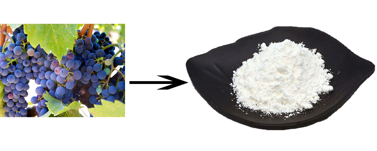 resveratrol 3 source