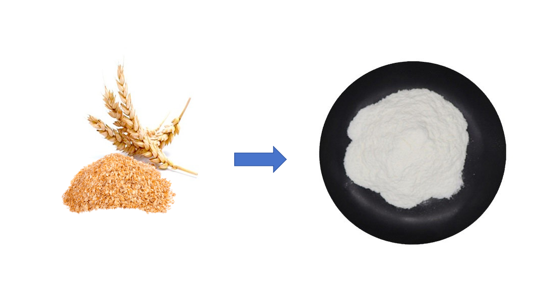 Spermidine powder