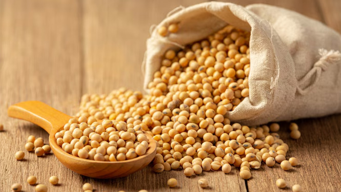 Stigmasterol source soybeans