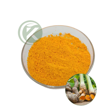 Premium Turmeric Curcumin Powder | Wholesale Supplier & Manufacturer