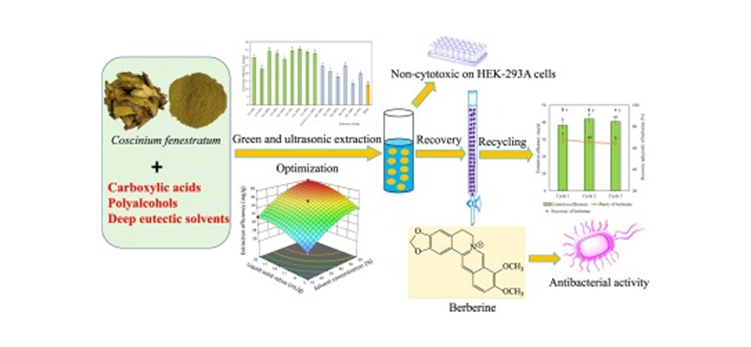 Ultrasonic extraction of berberine hydrochloride