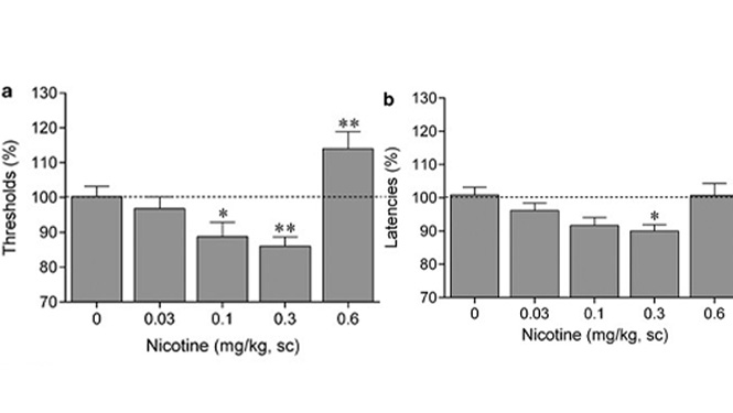 Varenicline and Cytisine